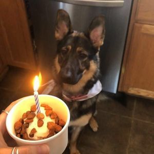 Meet your Posher, Dawn